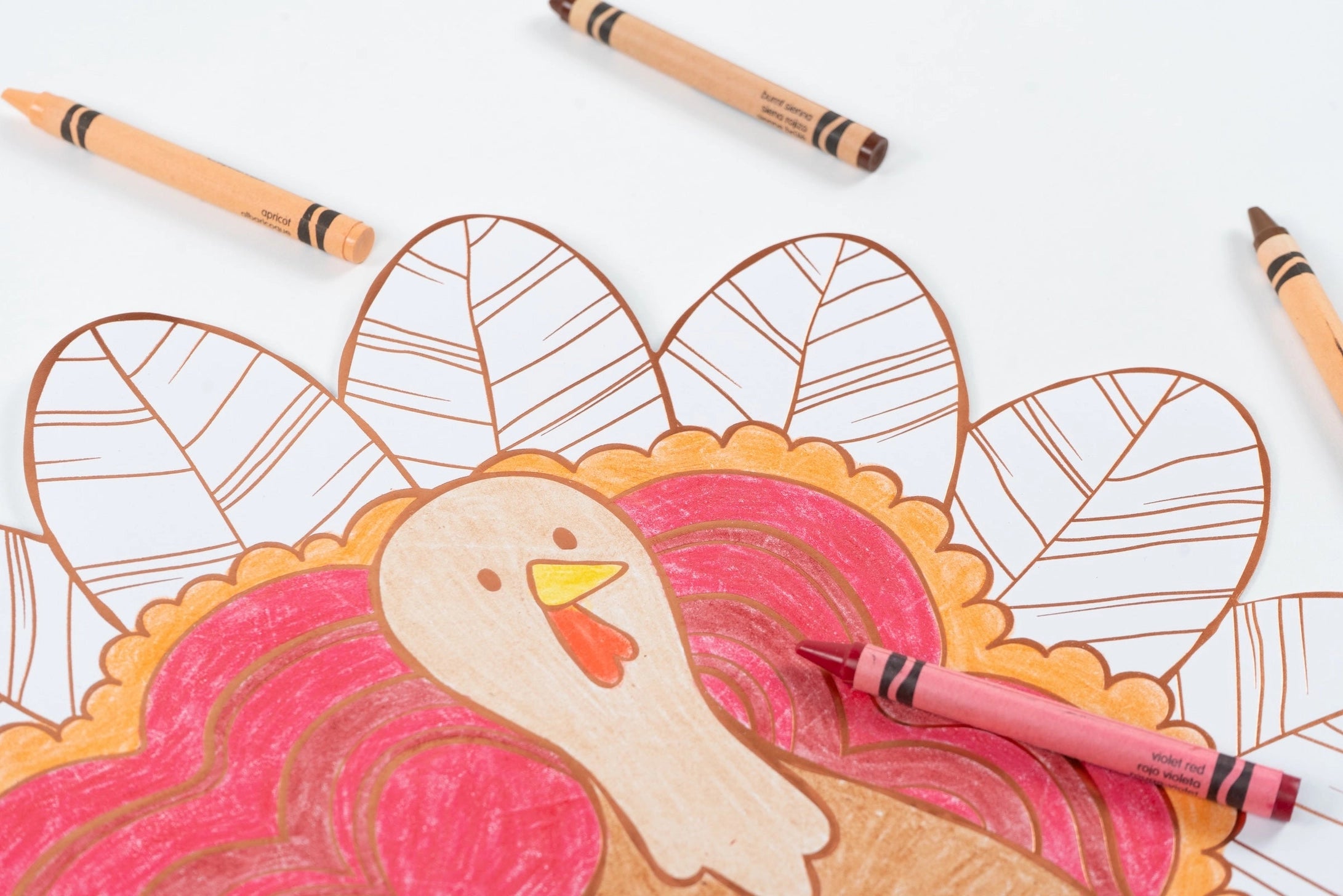 Turkey coloring placemat for kids Thanksgiving tables and holiday activities
