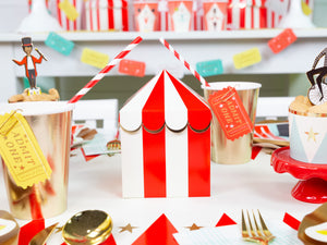 Carnival Tent Treat Boxes 8ct | The Party Darling