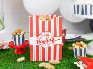 Stars & Stripes Treat Bags 8ct | The Party Darling