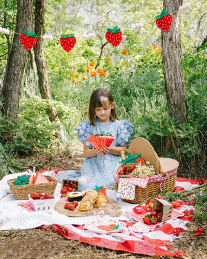 Strawberry Party Picnic
