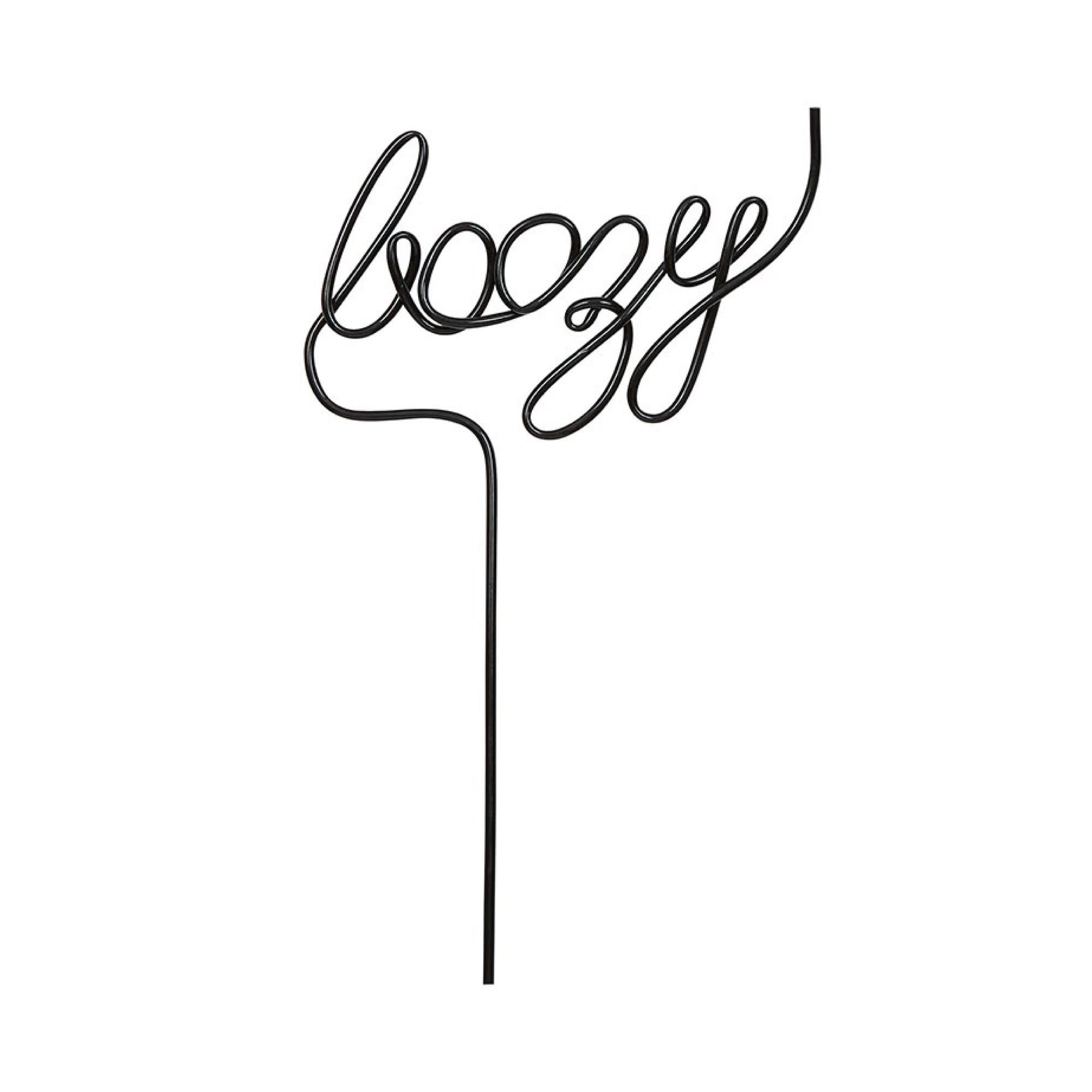 Black Boozy Plastic Word Straw | The Party Darling
