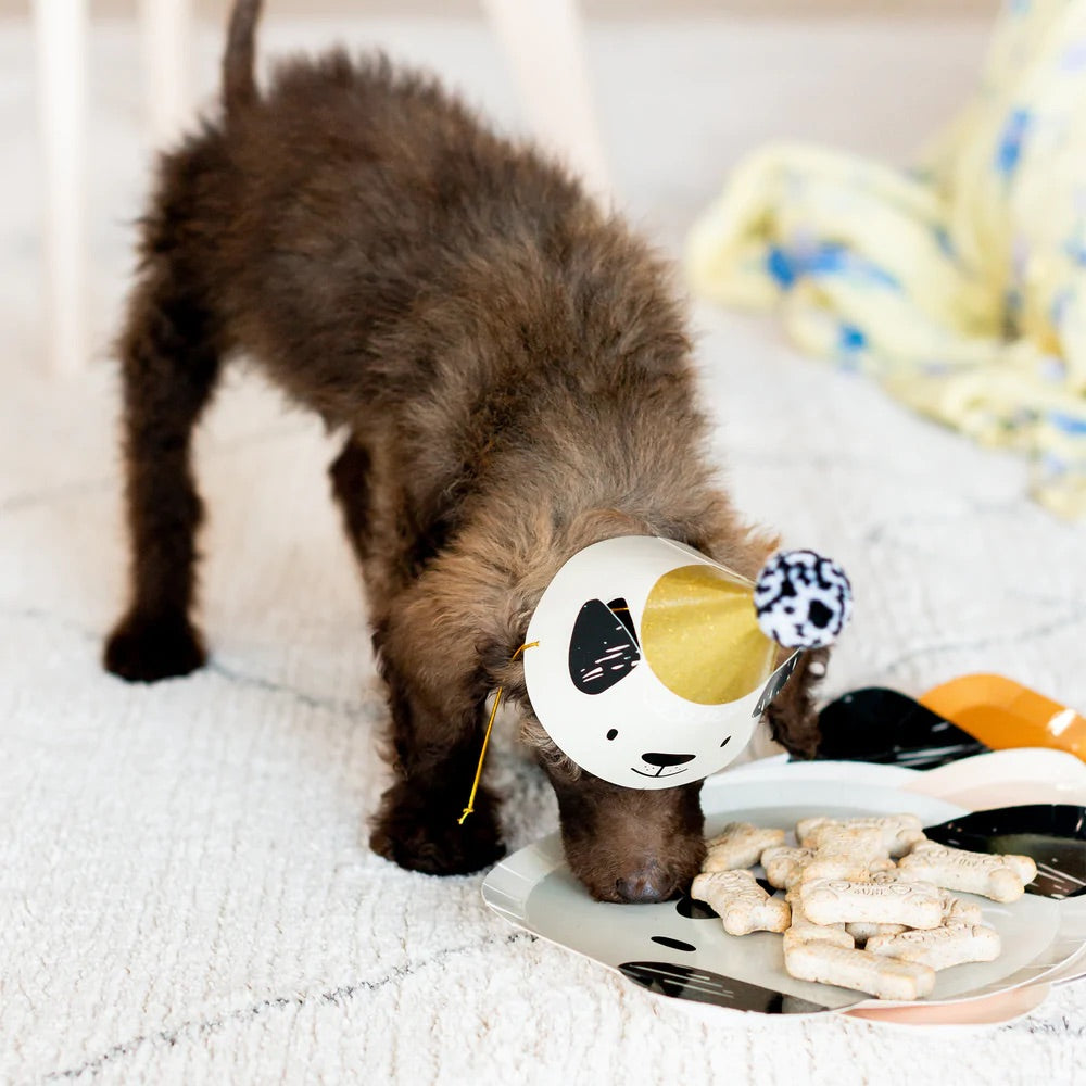 Bow Wow Dog Cupcake Kit 24ct | The Party Darling