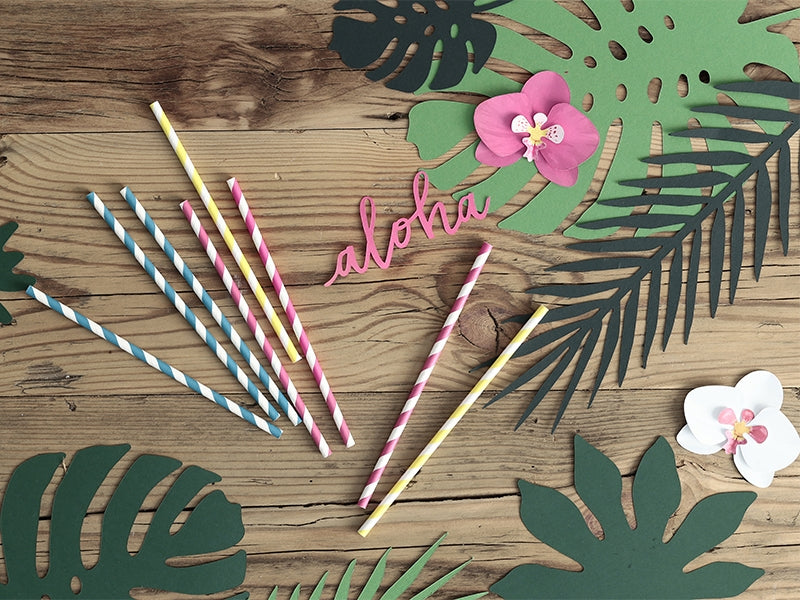 Dark Pink Striped Paper Straws - The Party Darling