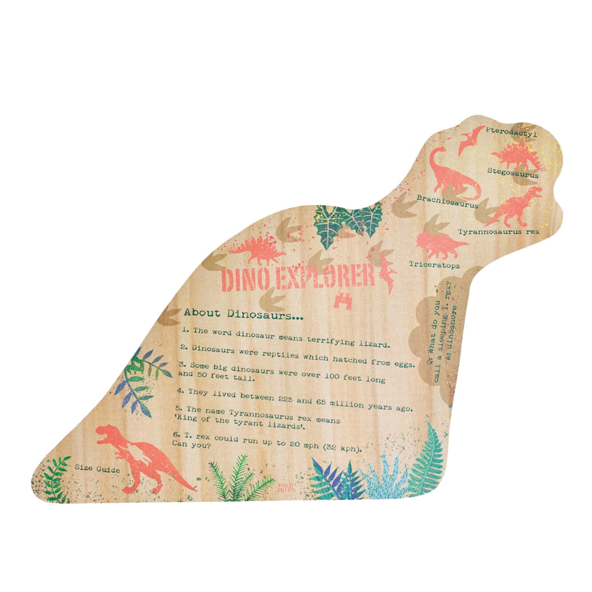 Dinosaur Explorer Paper Place Mats 12ct Reverse Side