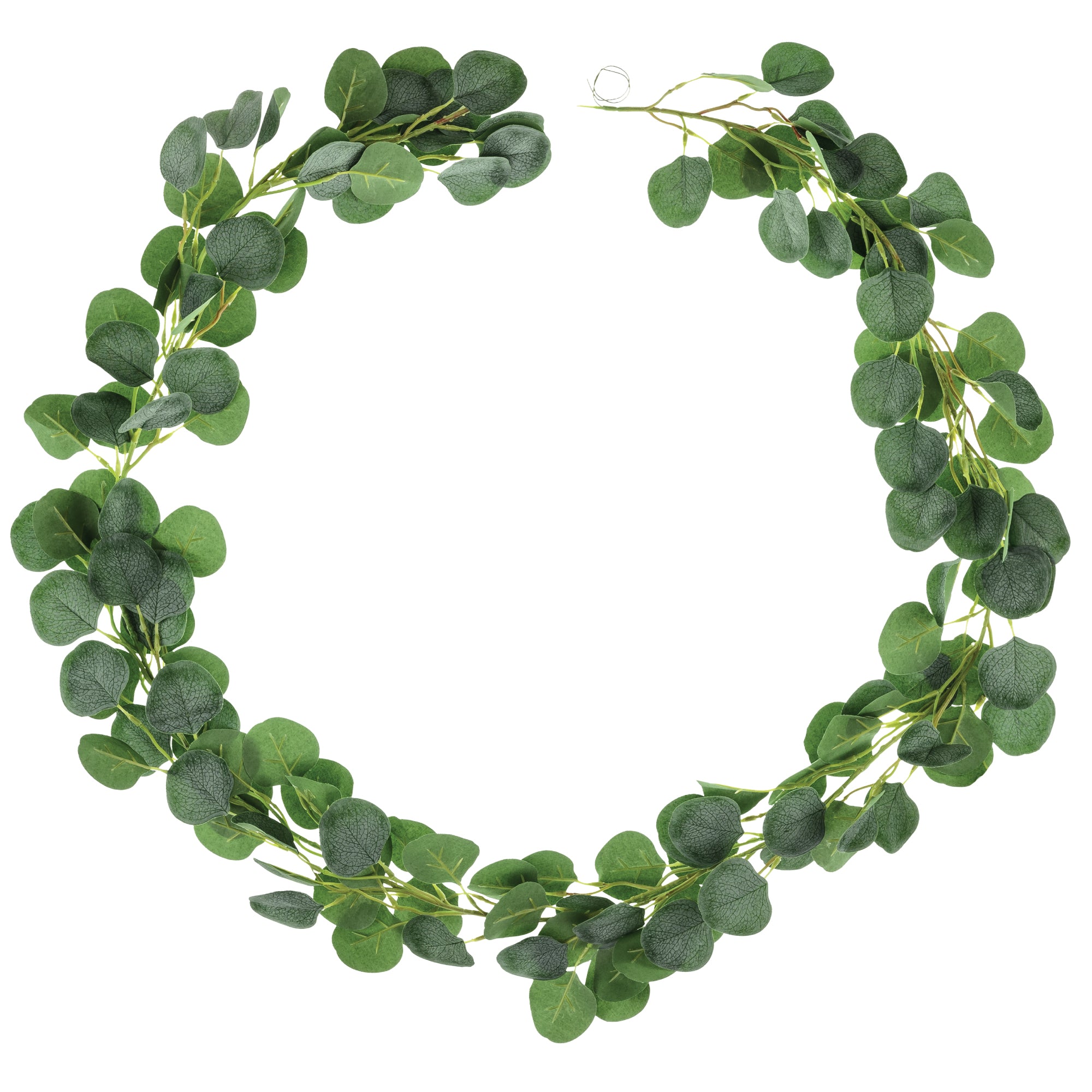 Eucalyptus Leaf Garland 6ft | The Party Darling