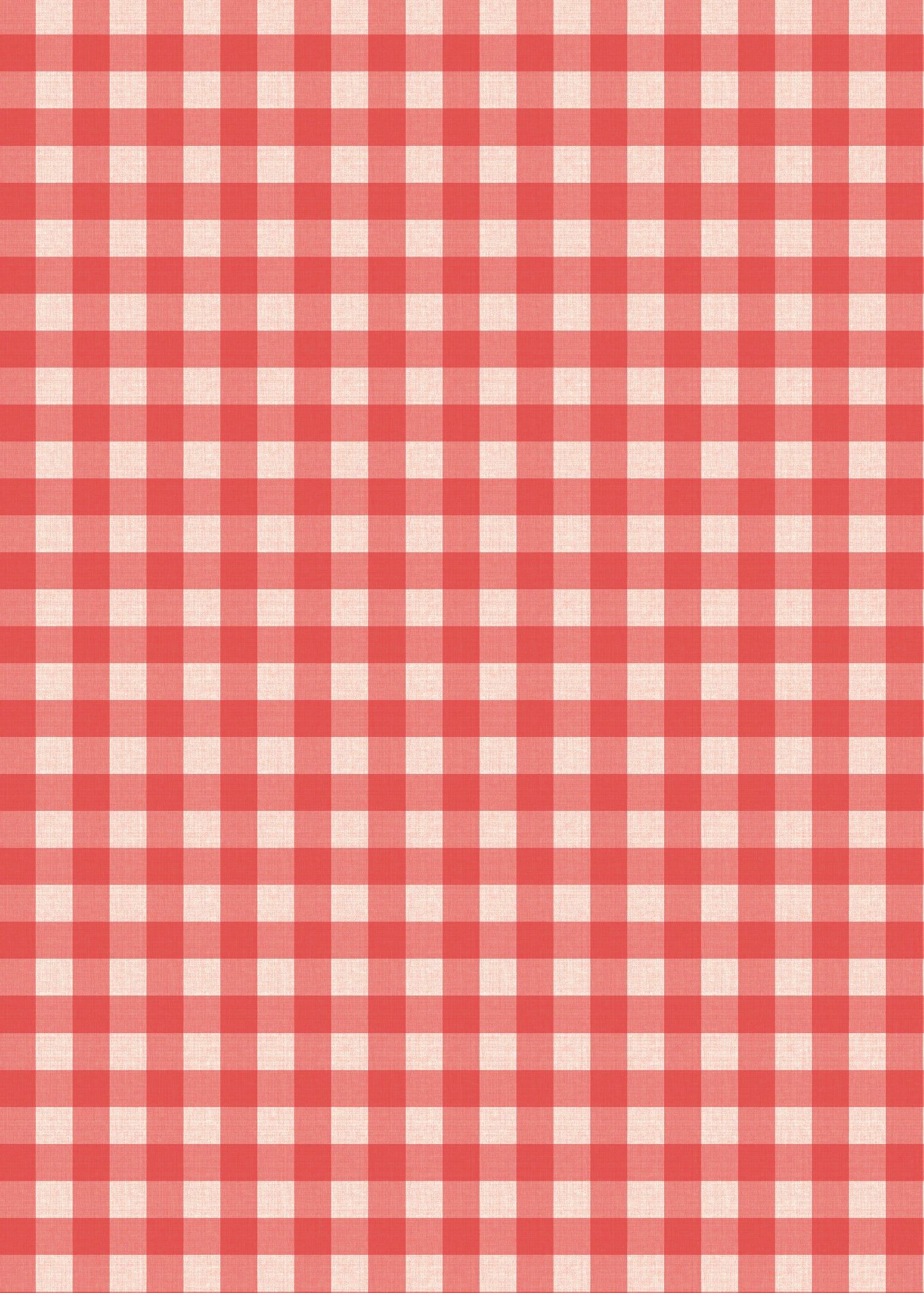 Farm Birthday Party Invitation Red Gingham Back