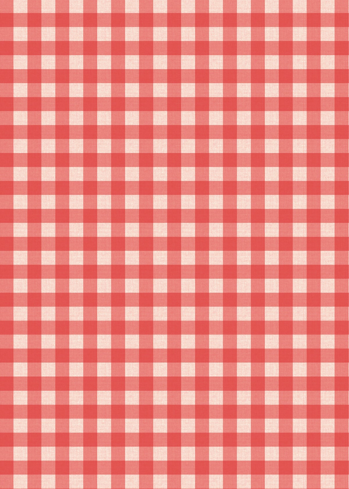Farm Birthday Party Invitation Red Gingham Back