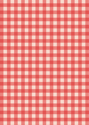 Farm Birthday Party Invitation Red Gingham Back