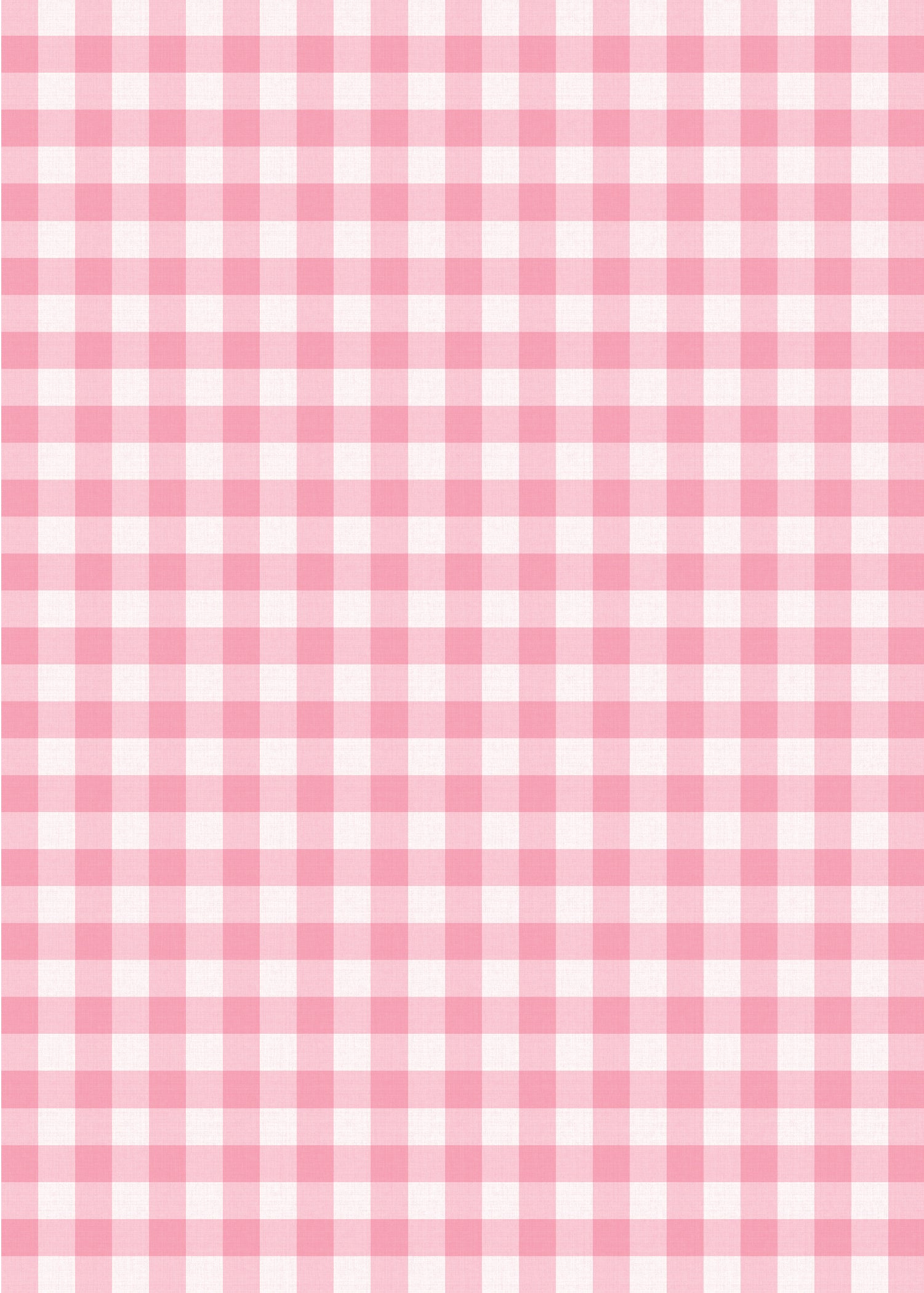 Farm Birthday Party Invitation Red Gingham Pink