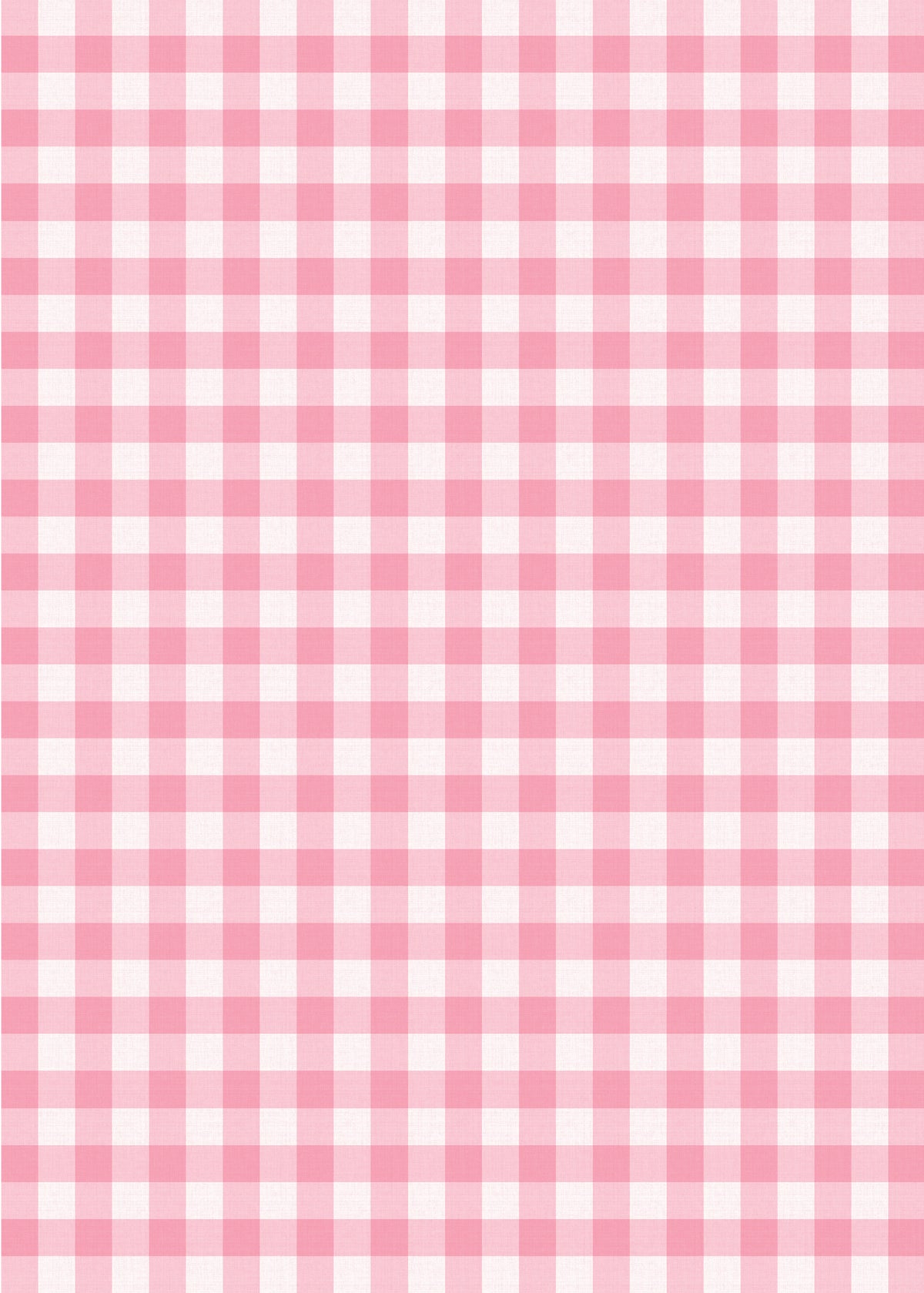 Farm Birthday Party Invitation Red Gingham Pink