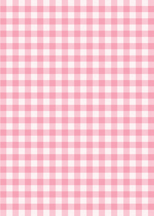 Farm Birthday Party Invitation Red Gingham Pink