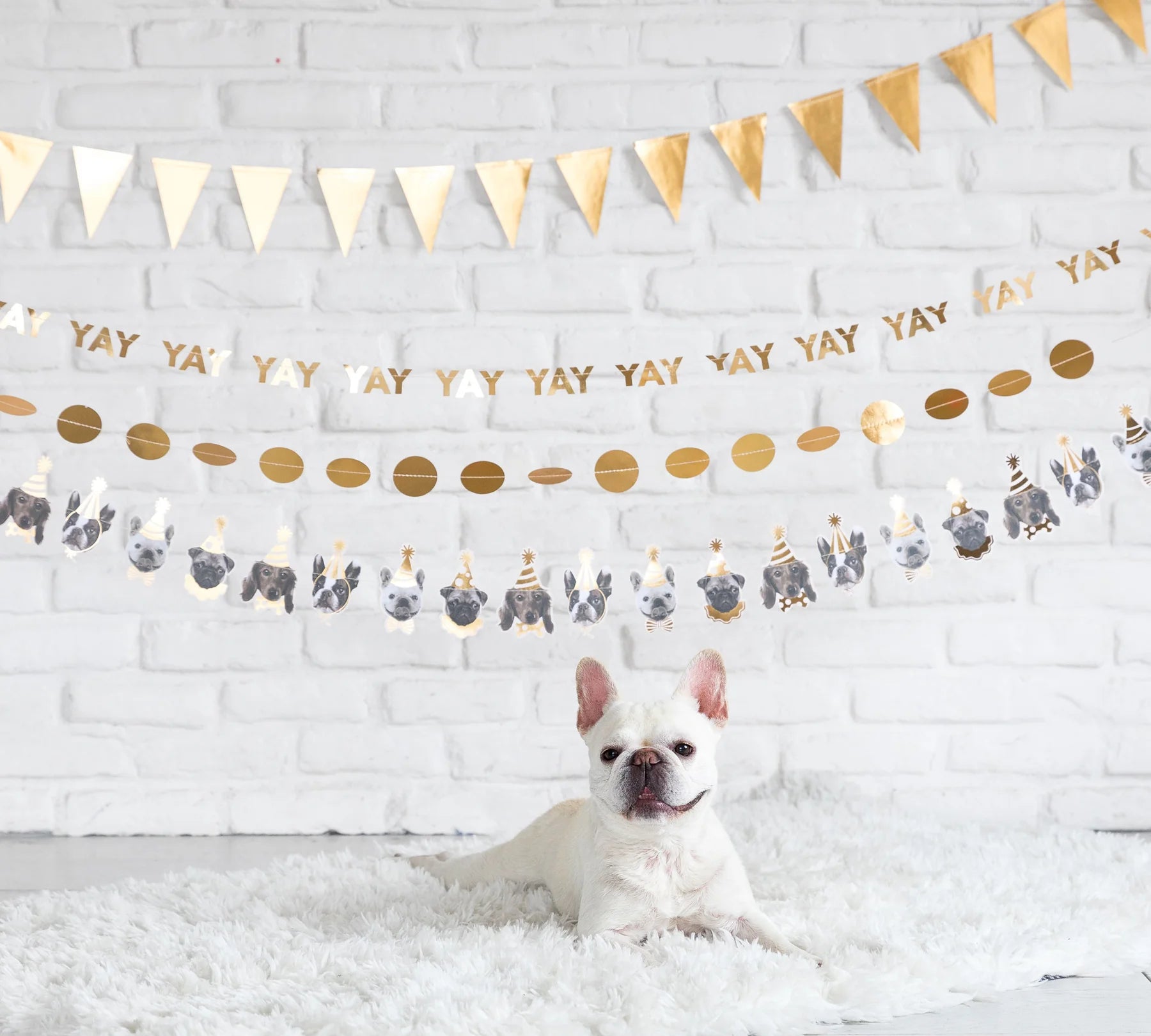 Party Animals Dog Banner 6ft | The Party Darling