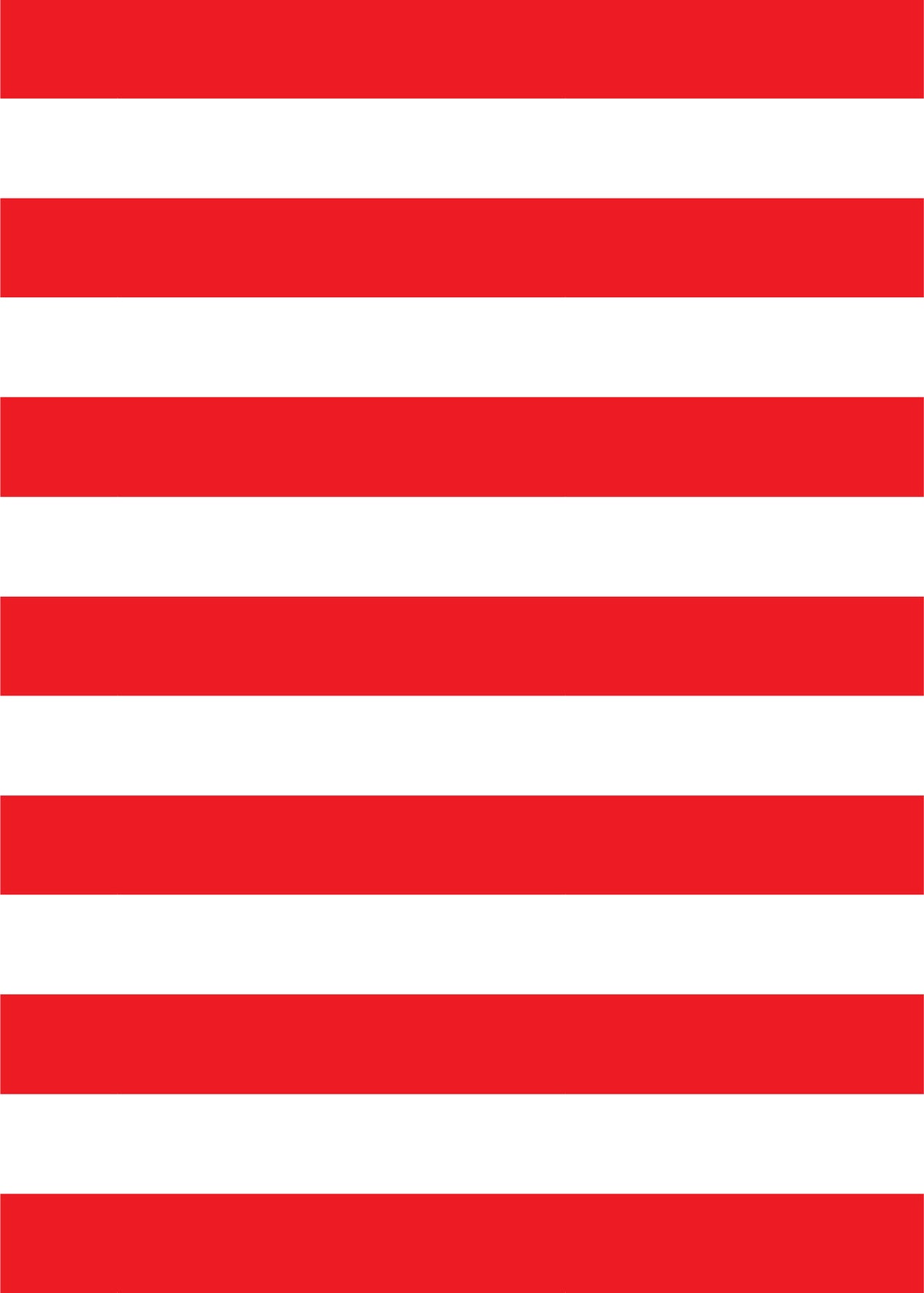 Pirate Birthday Party Invitation - The Party Darling