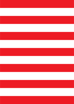 Pirate Birthday Party Invitation - The Party Darling