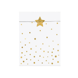 Little Star Treat Bags 6ct | The Party Darling