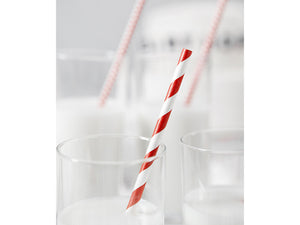 Red Striped Paper Straws 10ct - The Party Darling