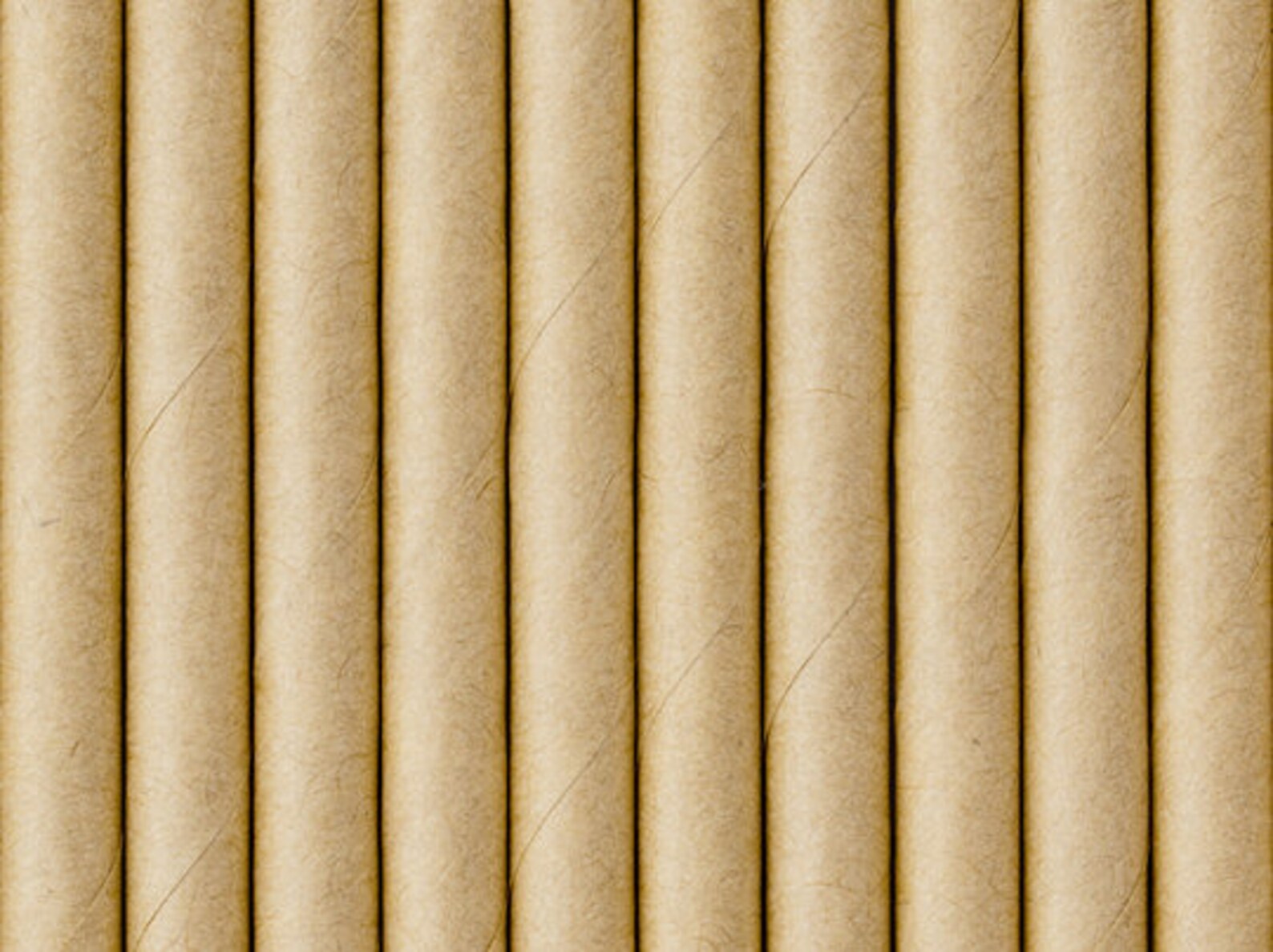 Kraft Paper Straws 10ct Zoomed In