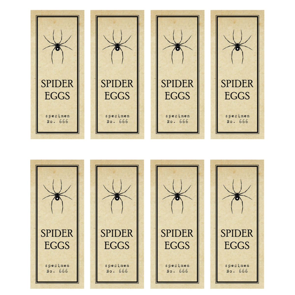 Spider Eggs Test Tube Free Printable Labels | The Party Darling