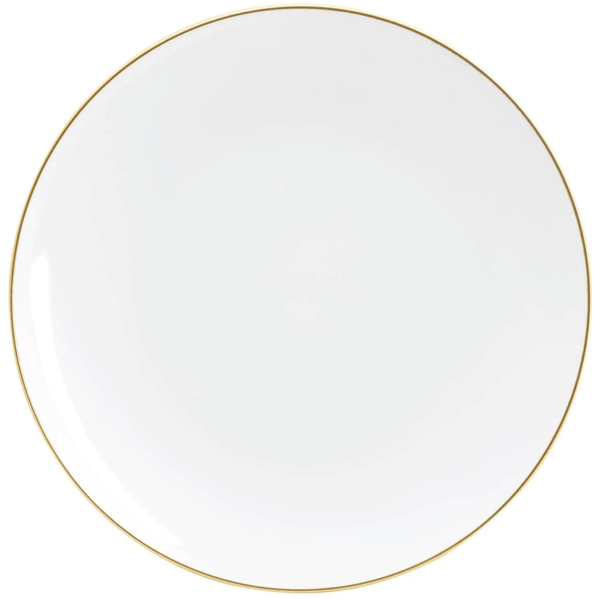 White With Gold Rim Plastic Dinner Plates 10ct | The Party Darling