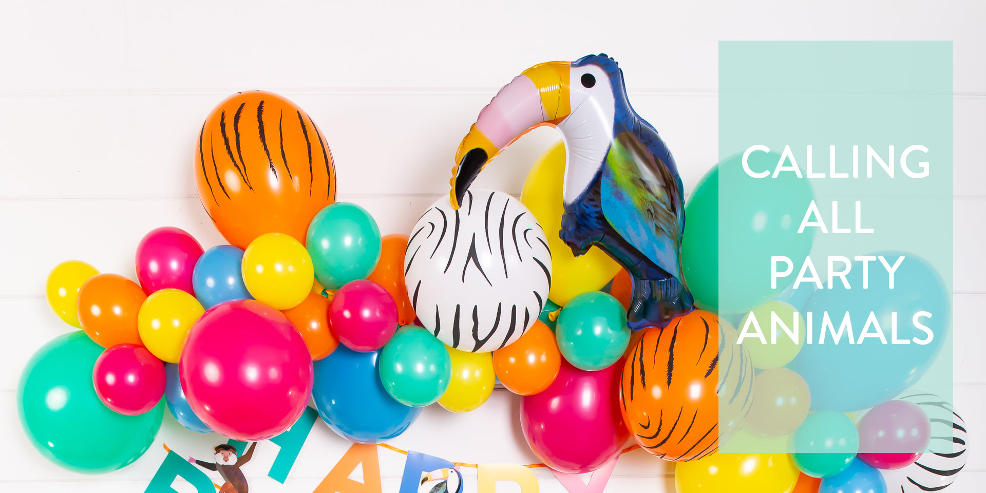 How to Throw a Party Animals Theme Party