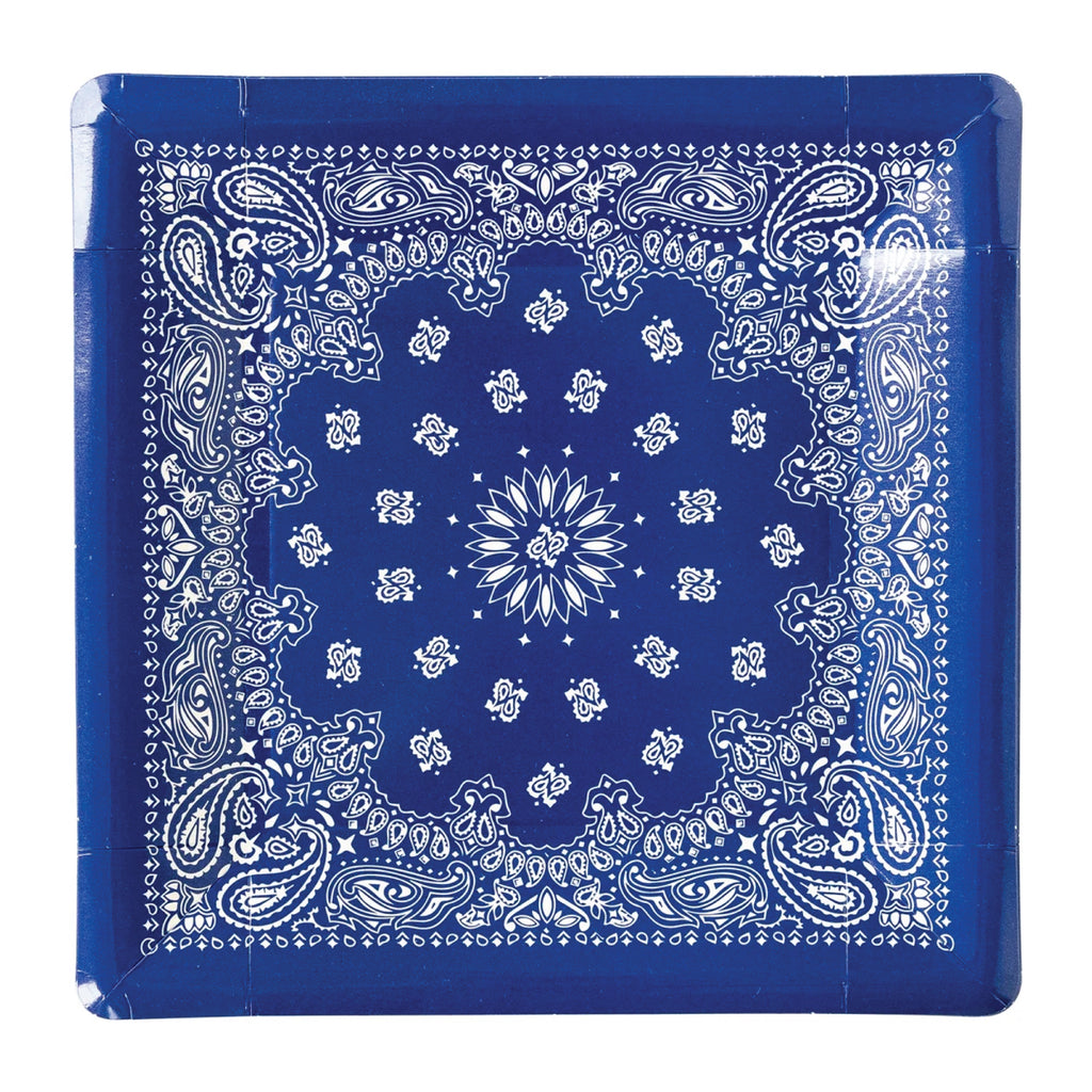 Blue-Bandana-Lunch-