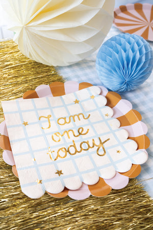 I am one today napkins on brown striped plate