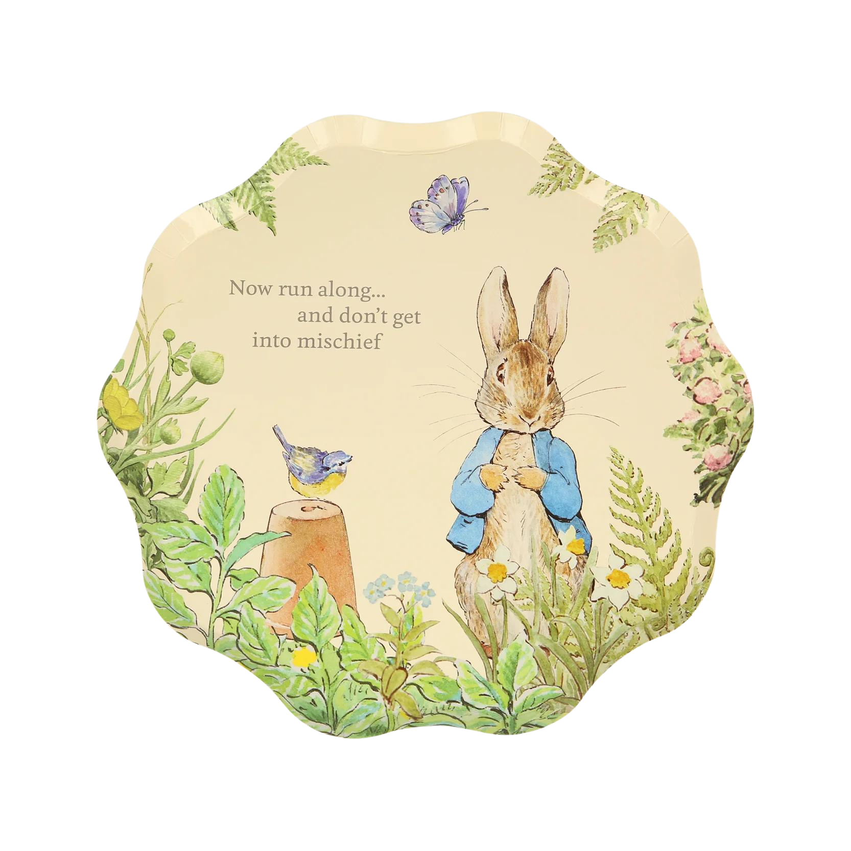 Peter Rabbit Party Plates Peter Rabbit Party Decorations | The Party Darling