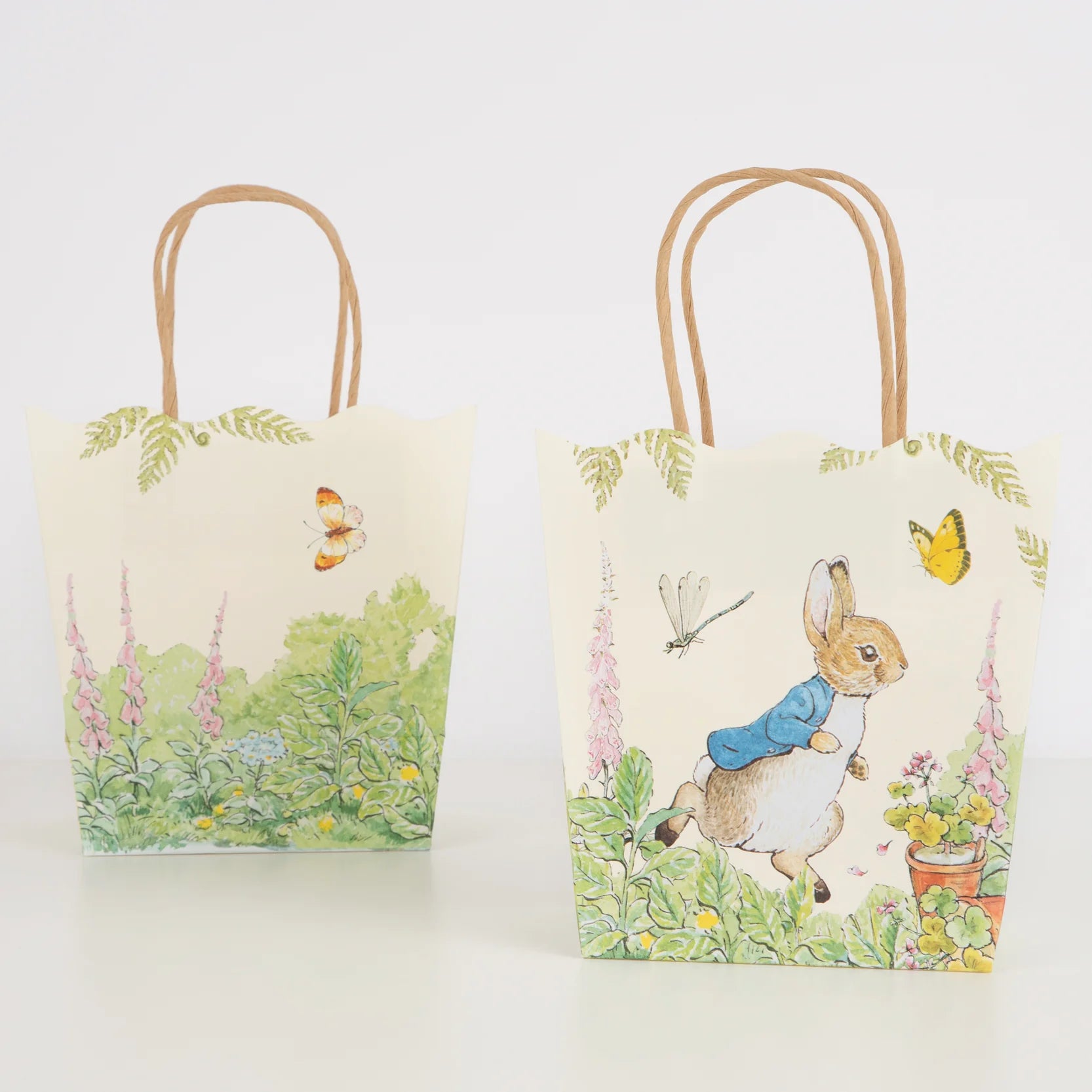 Peter Rabbit Party Decorations | The Party Darling