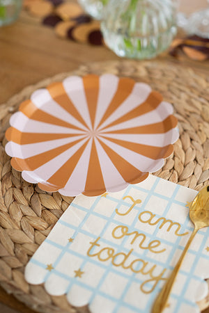 Brown and Pink Striped Plates on a placemat