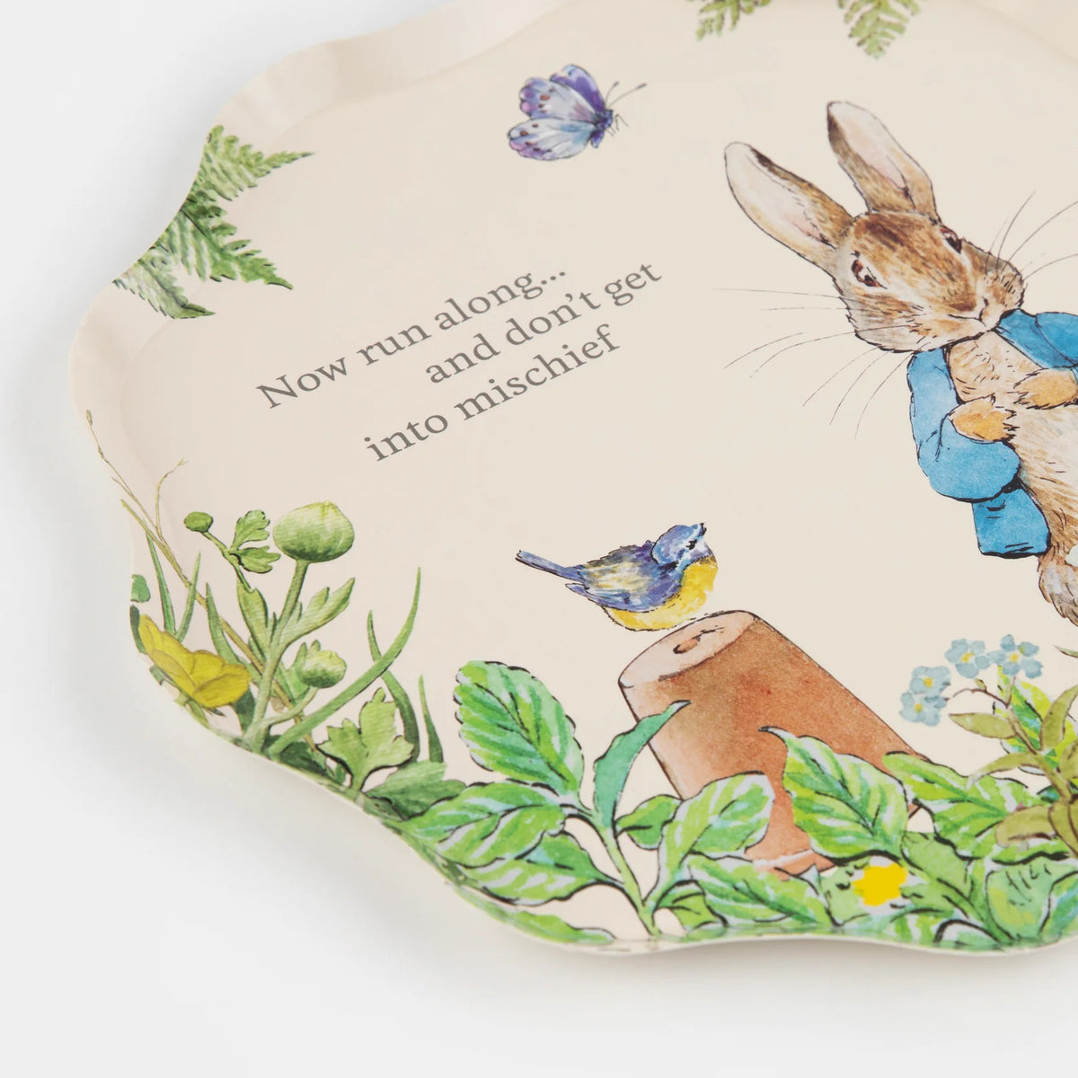 Set of 4 Peter Rabbit factory World of Beatrix Potter Spring Garden Meadow Salad Plates