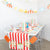 DIY County Fair Party Garland 20ft | The Party Darling