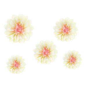 Cream & Pink Tissue Paper Flowers 5ct | The Party Darling