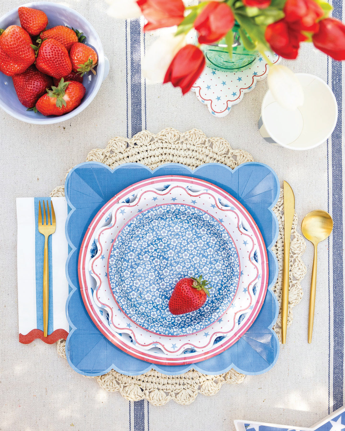 Patriotic Picnic Setting by My Mind&#39;s Eye