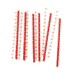 Santa Claus Reusable Plastic Straws 12ct | The Party Darling