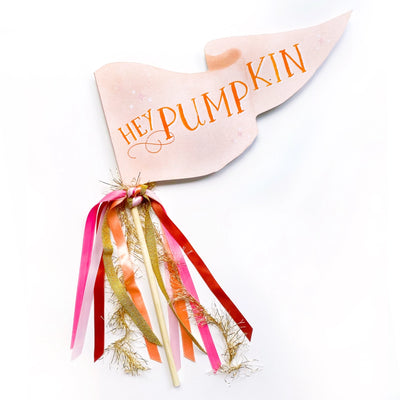 Hey Pumpkin Pennant Flag