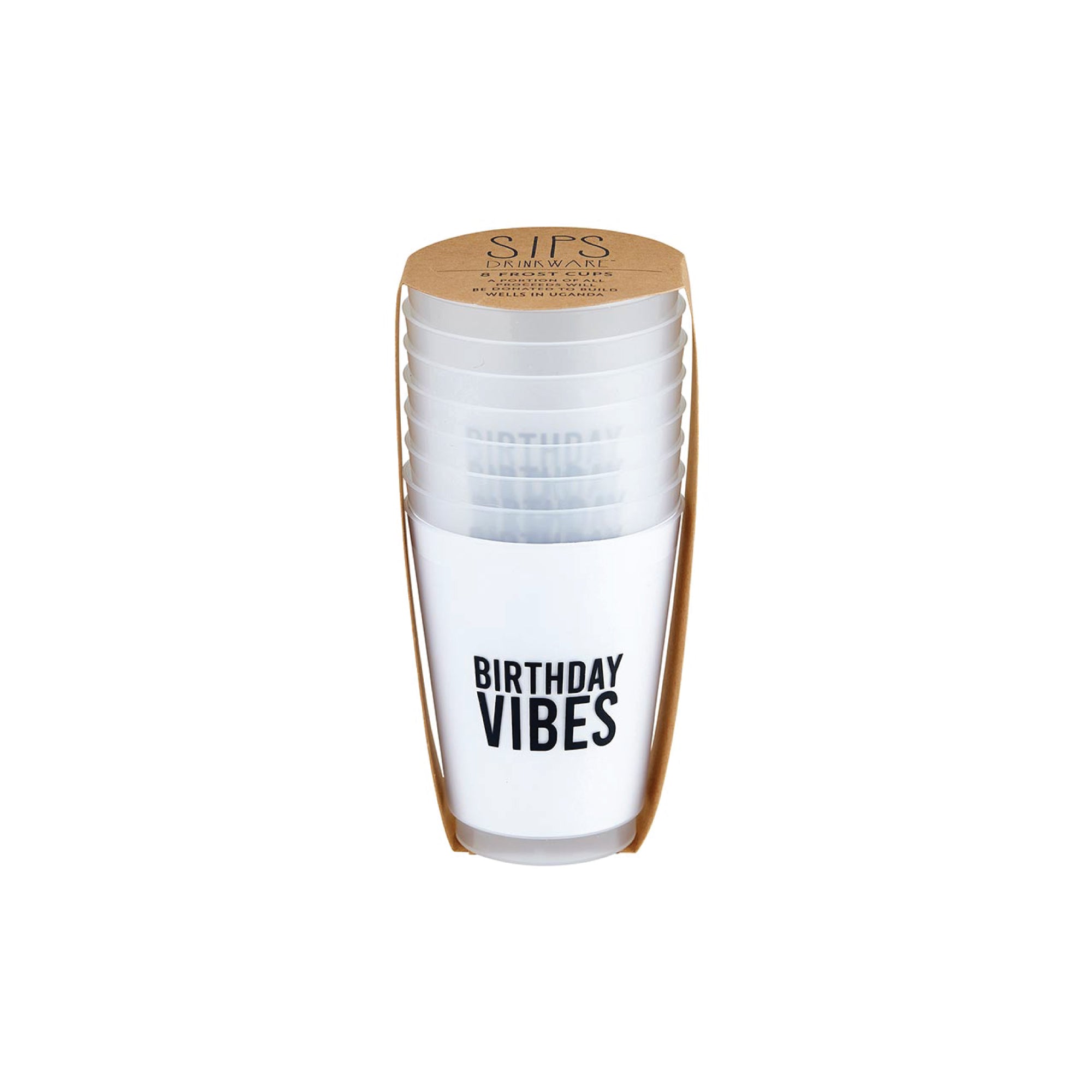 Birthday Vibes Frosted Plastic Cups 8ct | The Party Darling