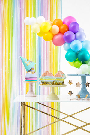Pastel Rainbow Fringe Curtain Party Decor