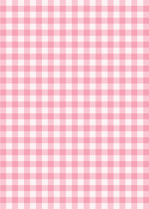 Farm Birthday Party Invitation Red Gingham Pink