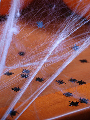 Black Spider Confetti - The Party Darling