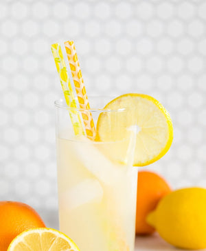 Lemon and Orange Reusable Straws 12ct - The Party Darling