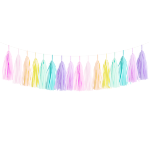 Pastel Rainbow Tassel Garland Kit | The Party Darling