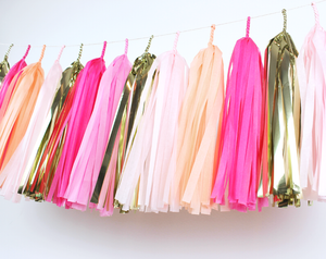 Pink Party Tassel Garland Kit - The Party Darling
