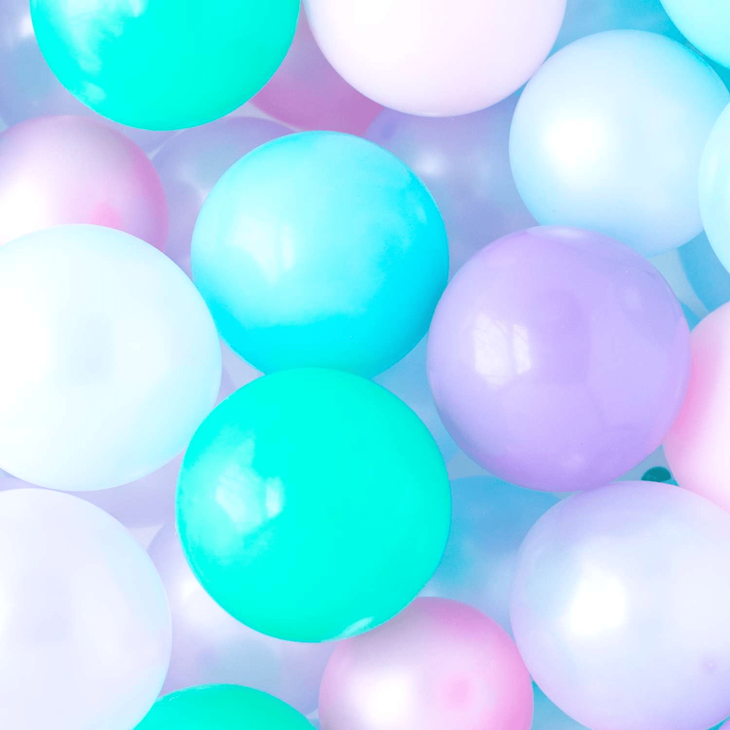 Royal Mini Balloons | The Party Darling