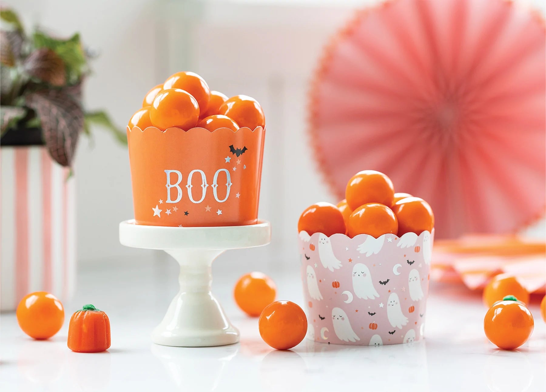 Spooky Cute Halloween Baking Cups 50ct | The Party Darling