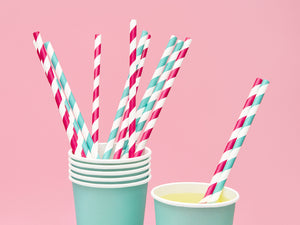 Dark Pink Striped Paper Straws - The Party Darling