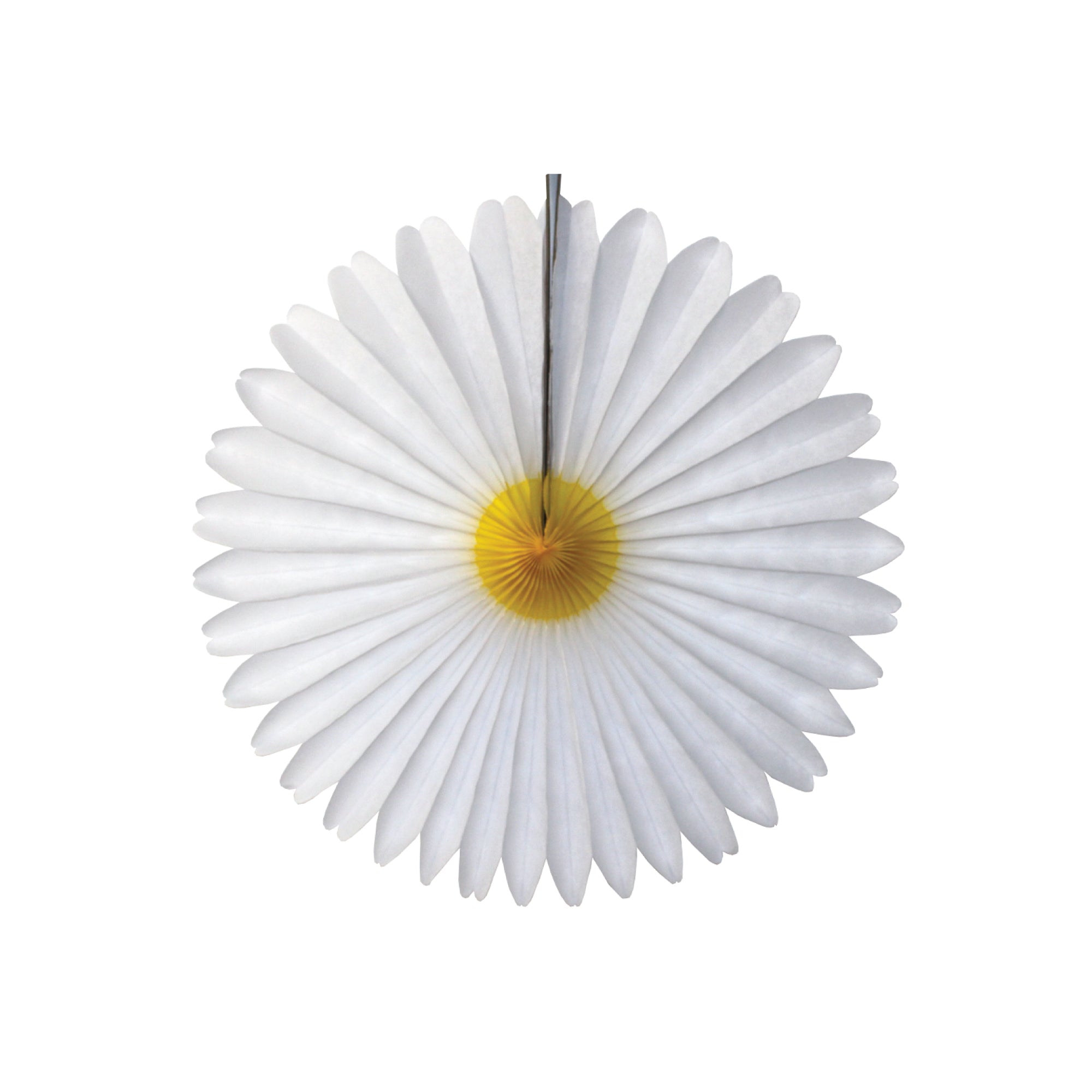 White Daisy Flower Paper Fan Decoration 13in | The Party Darling