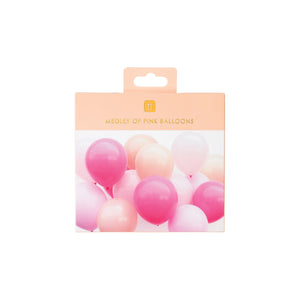 Blush and Pink Latex Balloons 16ct | The Party Darling