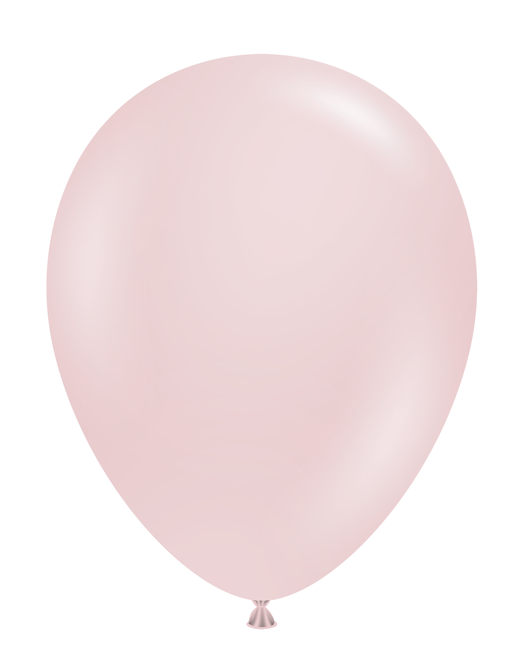 11" Latex Balloons 6ct | The Party Darling 