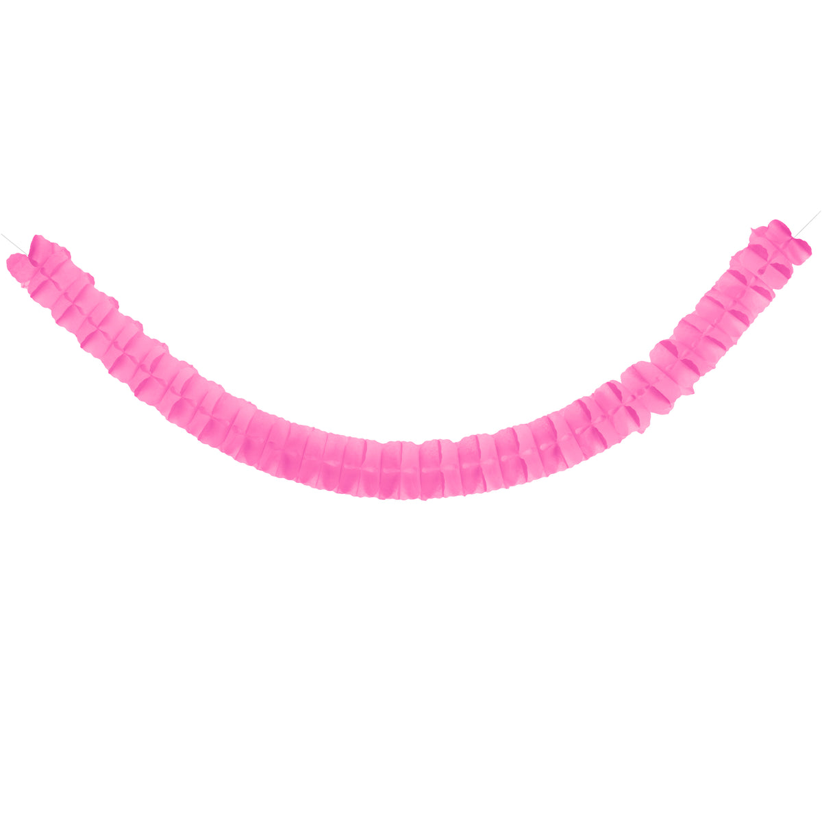 Pink Party Tassel Garland Kit
