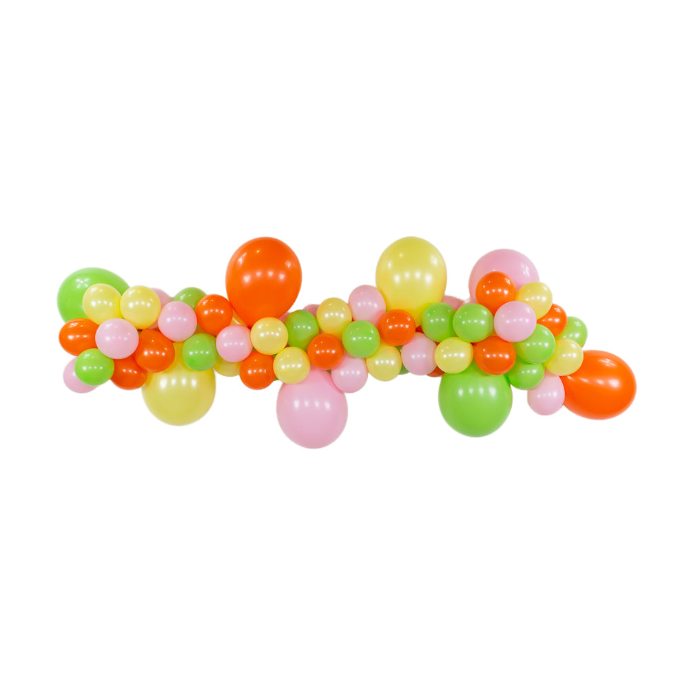 Tutti Frutti DIY Balloon Garland Kit 6ft | The Party Darling